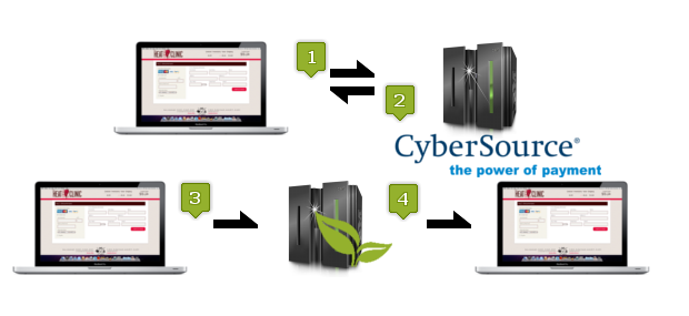 CyberSource Diagram