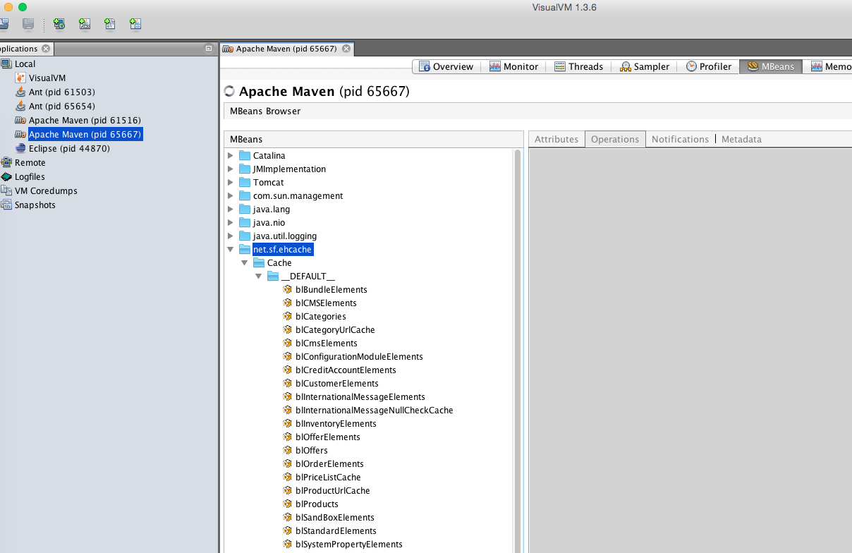 visual-vm-ehcache