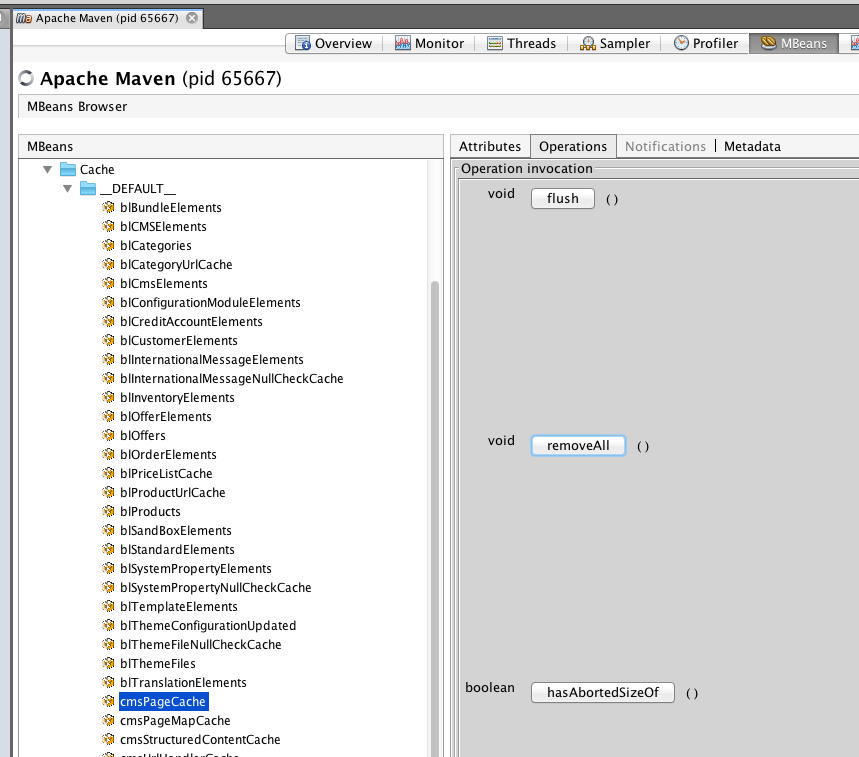 visual-vm-cmscache